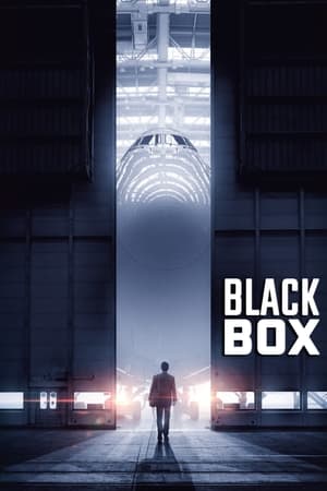 Boxed 2021 Hindi Movie 480p HDRip – [330MB] - Movierulz